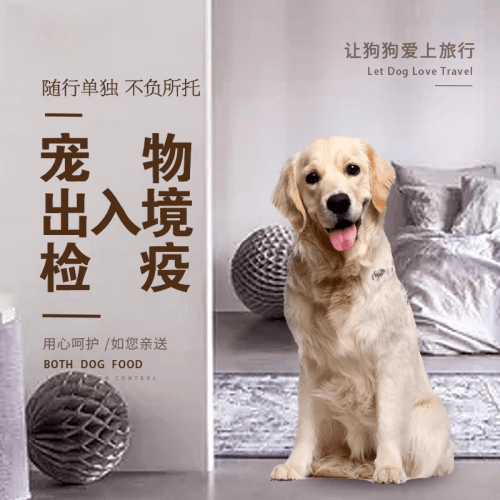 景德镇市宠物托运到哥伦比亚猫狗宠物入境规定和