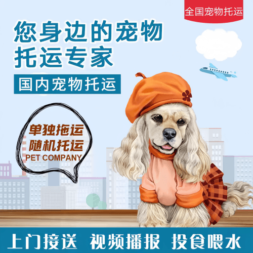 满财景德镇市宠物全球达宠物托运作为专业的宠物运输代理机构